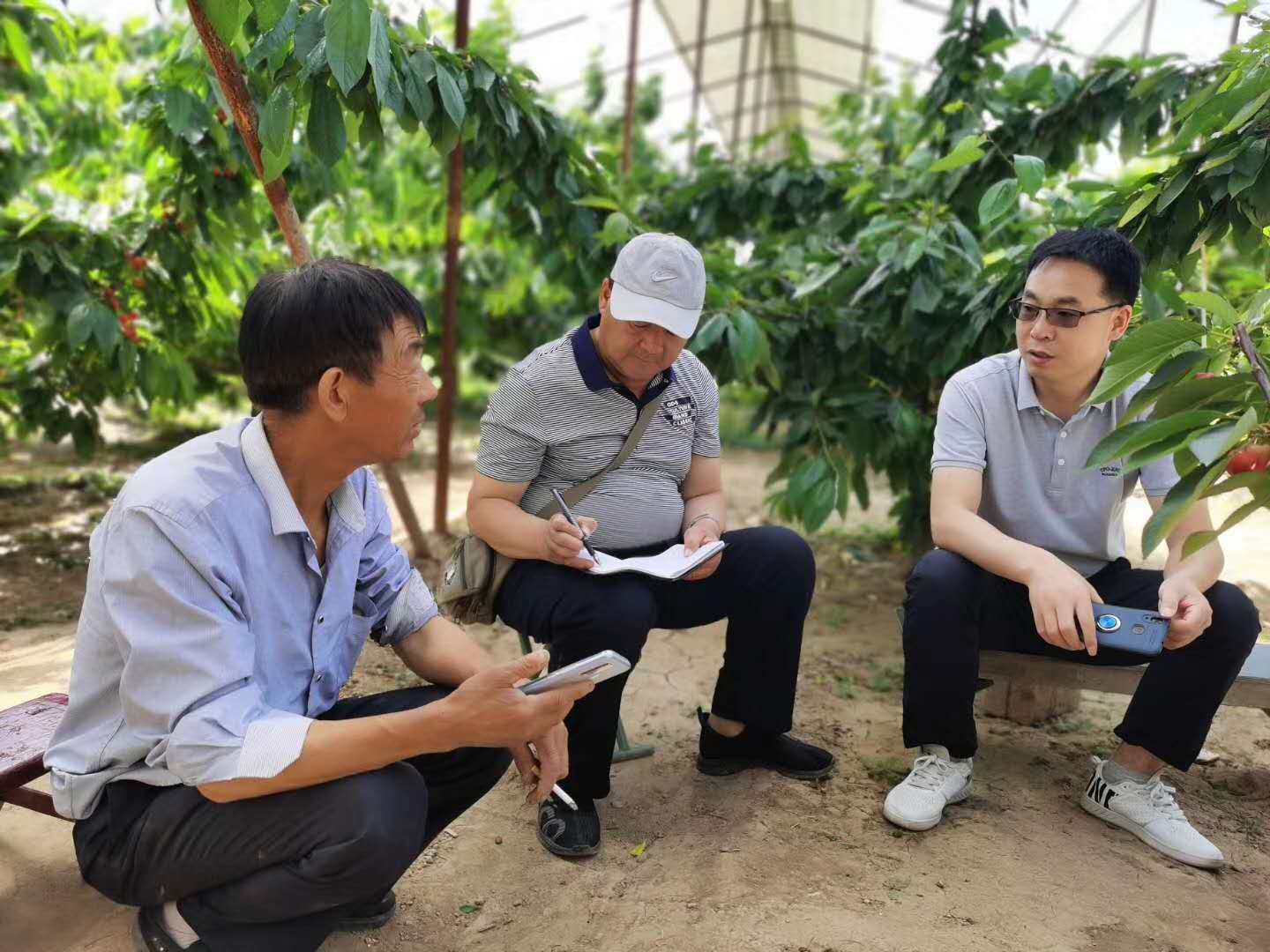 1598420794223453.jpg 路老師和電視臺(tái)現(xiàn)場(chǎng)指導(dǎo)農(nóng)戶照片.jpg