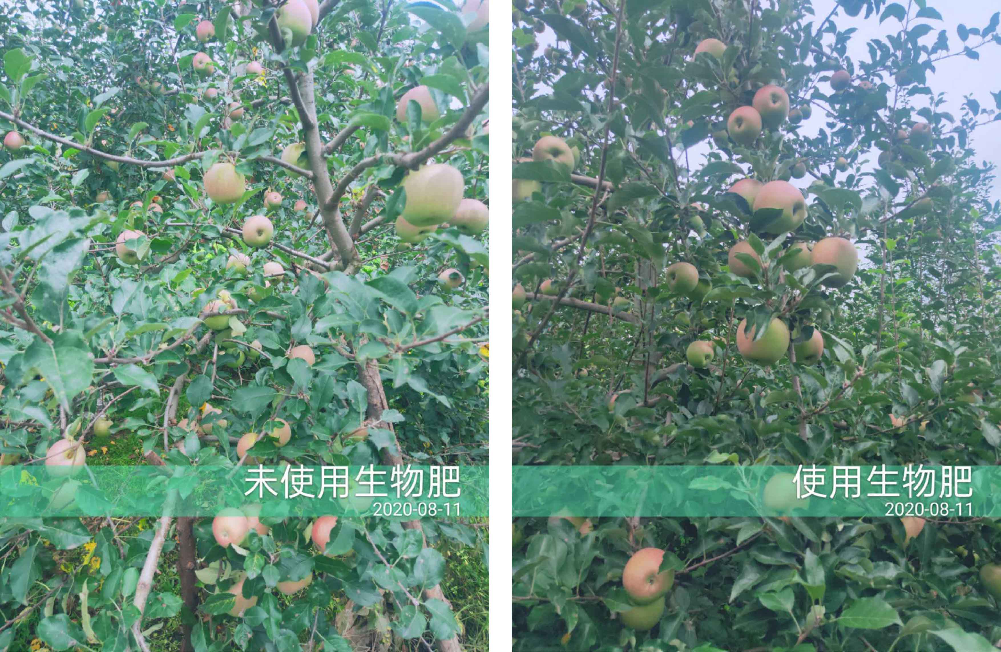 1598498630755827.jpg 對(duì)比2-01.jpg